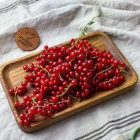 Смородина красная Краснодарская