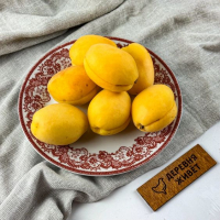 Абрикос "Шалах" Армения