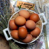 Яйцо куриное Краснодарское 10 шт